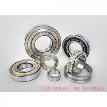 25 mm x 52 mm x 18 mm  NKE NJ2205-E-MPA cylindrical roller bearings